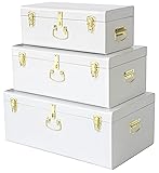 Vixdonos Decorative Box Set of 3 Metal Trunks Chest