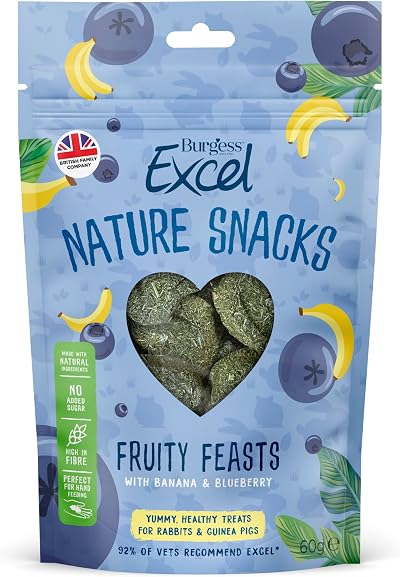 Excel Burgess Fruity Feasts Treats for Rabbits and Guinea Pigs 60 g