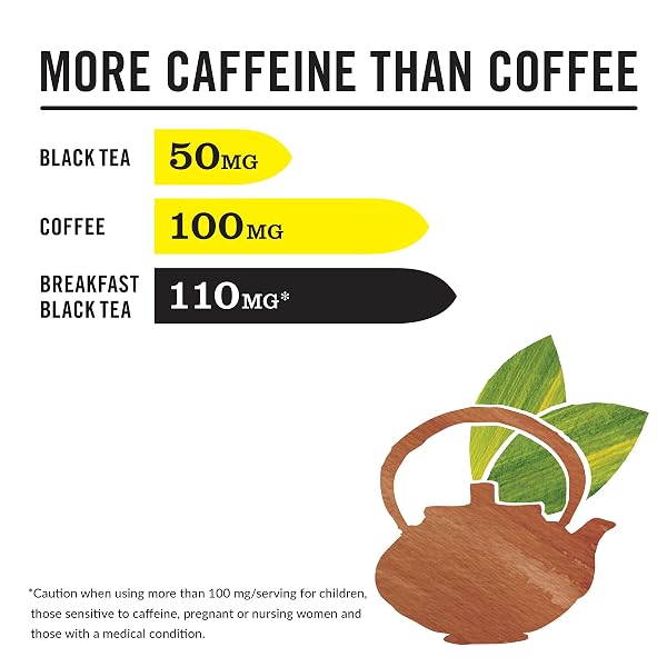 THE REPUBLIC OF TEA — HICAF BREAKFAST BLACK TEA, 50 TEA BAGS, HIGH IN CAFFEINE