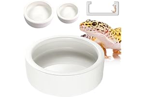 Magtara Reptile Food Dish Bowl - Anti-Escape Ceramic Worm Water Dish Feeder for Mealworm, Superworm, Dubia Roaches, Lizard, Leopard Gecko, Bearded Dragon, Chameleon, Skink, Tegu, Snake (Large, White)