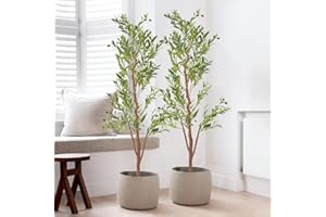 Nalupatio 2 Pack Artificial Olive Tree 6 FT,Fake Faux Olive Tree with Natural Wood Trunk and Realistic Leaves and Fruits,Olive Fruits Artificial Tree for Modern Home Office Living Room Decor Indoor