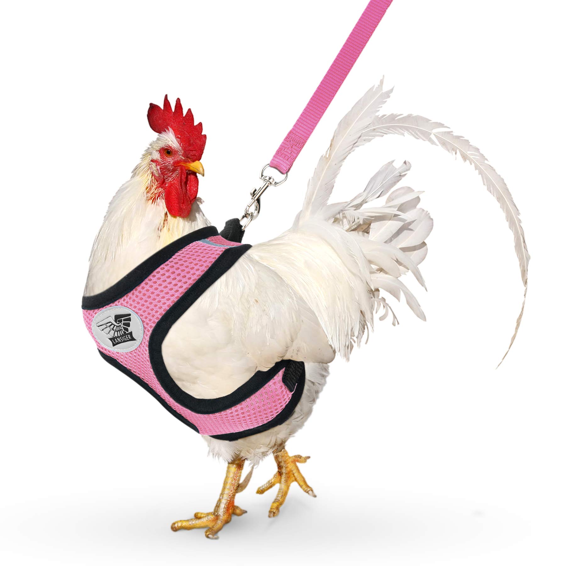 Lansiger Chickens Harness with Leash Pet Harness Comfort Padded Vest for Small Pet (Pink, M)