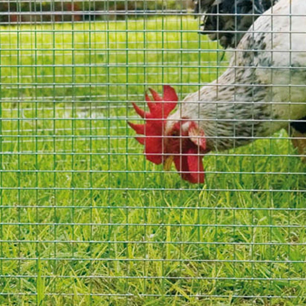 Catral 55010008 Malla Cuadrada Galvanizada, 100x300x4 cm, color ...