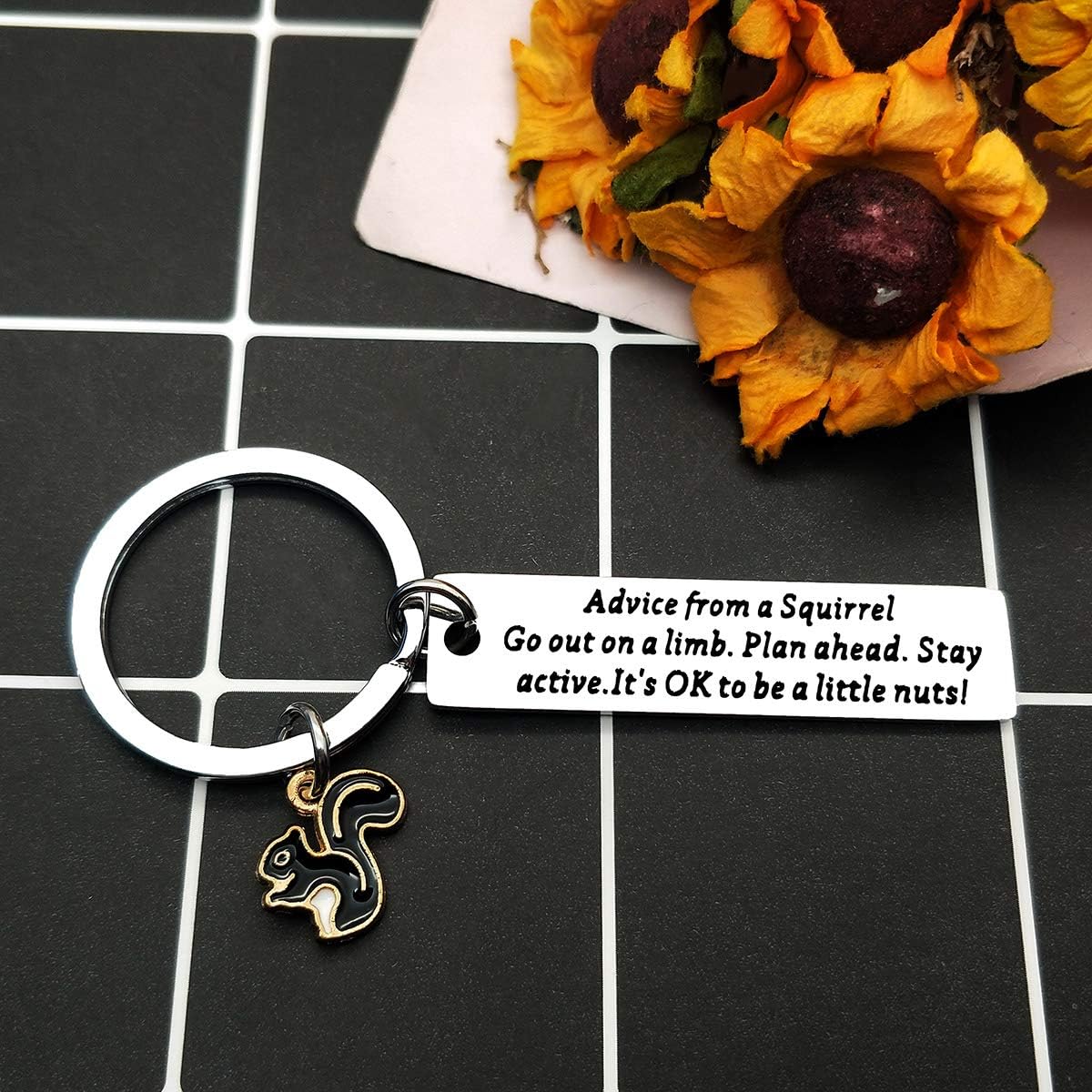 Funny Squirrel Keychain Advice from a Squirrel Gifts for Squirrel Lovers Nature Lovers Go Out on a Limb Plan Shead Stay Sctive It’s OK to be a Little Nuts Cute Keychain Keyring Gift for Squirrel Fans - Image 3