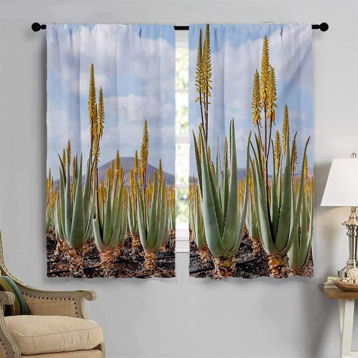 Planta impermeable recubrimiento de cortina, foto de plantación de aloe