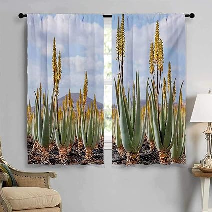 Planta impermeable recubrimiento de cortina, foto de plantación de aloe