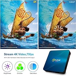 Android TV Box,【4GB RAM 64GB ROM】 QPLOVE Q8