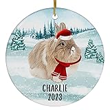 Santa Hat and Scarf Welcome Winter White Golden