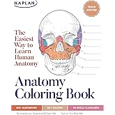 Anatomy Coloring Book with 450+ Realistic Medical Illustrations with Quizzes for Each (Kaplan Test Prep)