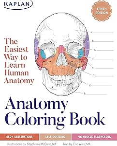 kindle best category lists