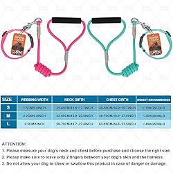 Soft Touch Collar & Rope Leash :CofN Rope Dog Leash