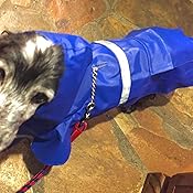 カスタマー画像