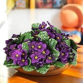 Maysing 10 Pcs African Violet Artificial Plant Purple African Violet Individual 9 Inches Artificial Flowers for Home Decoration Office Decor Gift