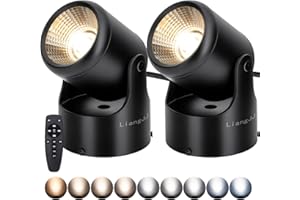 LiangJJ 2 Pack 12W LED Spot Lights Indoor with Timer, Remote, Stepless Adjustable Color Temperature, Dimmable, 6000K Accent Up Lights Floor Can Light, Uplighting Spotlights for Indoor, Plant, Artwork