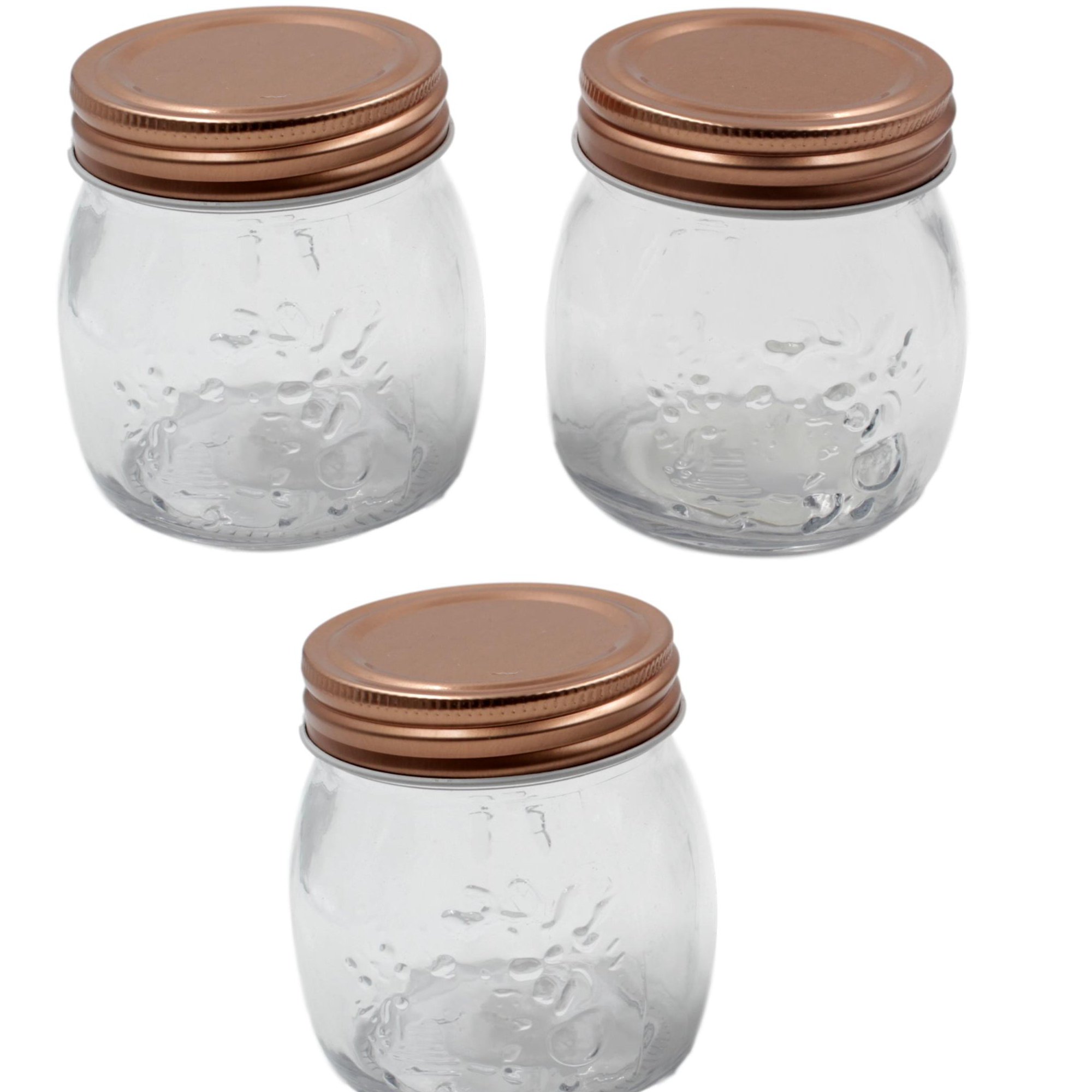 3X Screw Tight Copper Lid Spice Storage Jars 260ml