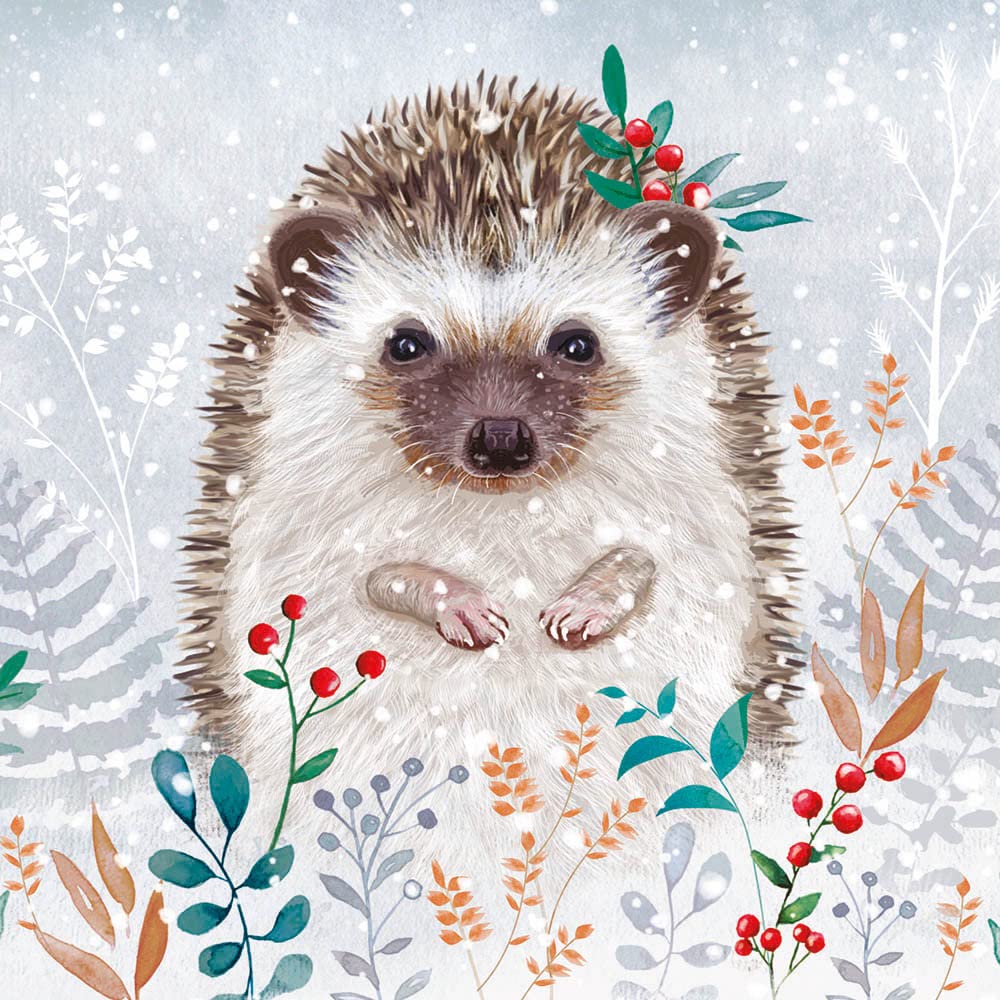 Charity Christmas Cards - Snowy Hedgehog in Winter Flowers and Foliage - Eco-Friendly - Pack of 8 Cards - By Museums and Galleries