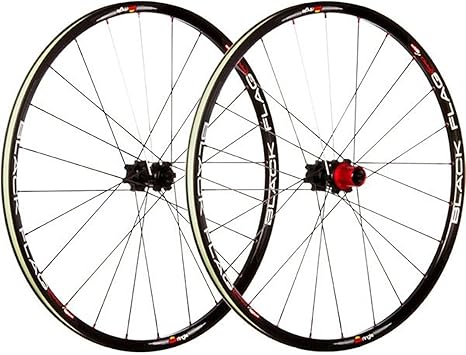 sun ringle black flag pro 29