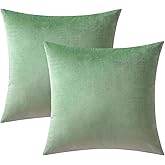 VAKADO Throw Pillow Covers Decorative 18x18 Set of 2 Sage Green Outdoor Decor Couch Cushion Covers Euro Pillowcases Home Bed Decoration for Sofa Bedroom Office
