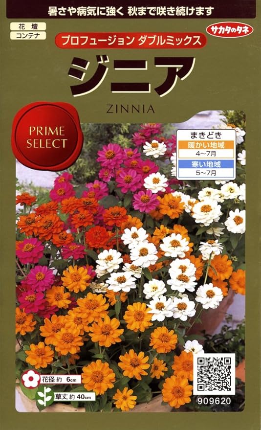 Amazon サカタのタネ 実咲花96 ジニア プロフュージョンダブルミックス 花