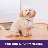 urineOFF Pet Urine Stain & Odor Remover Deep Cleaning 3.78L view 3