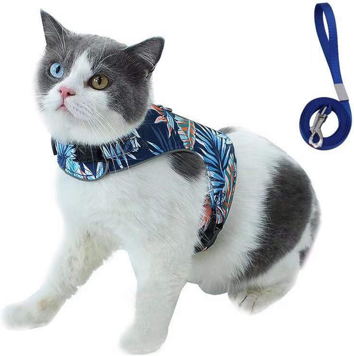 Cat Leash Price at Martha Gutierrez blog