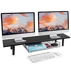 LOTEYIKE Dual Monitor Stand for 2 Monitors, Large