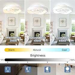 DLLT 20'' Flush Mount Ceiling Fan with Led Light