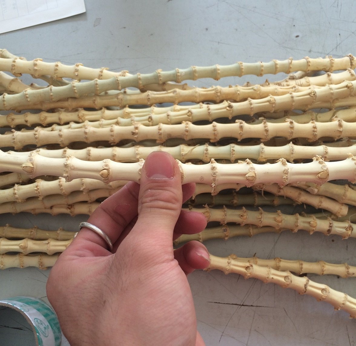 白竹の根竹 400g B06xd1h515 パイプなどの自作に最適 灰皿喫煙具 店舗良い Rumble Media