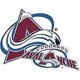 Desert Cactus Colorado Avalanche Team NHL National Hockey League Sticker Vinyl Decal Laptop Water Bottle Car Scrapbook (4 inch Sticker)