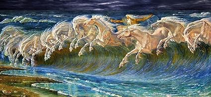 nautilus jigsaw puzzles