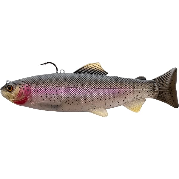 Amazon.com : 13 FISHING - The Trout - Rigged Wedge Tail Swimbait - 9" -  Dark Trout - CB-TWR9-26 : Sports & Outdoors