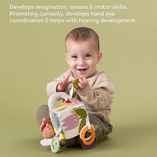 Taf Toys Activity Cube, Newborn Baby Developmental Activity Toy