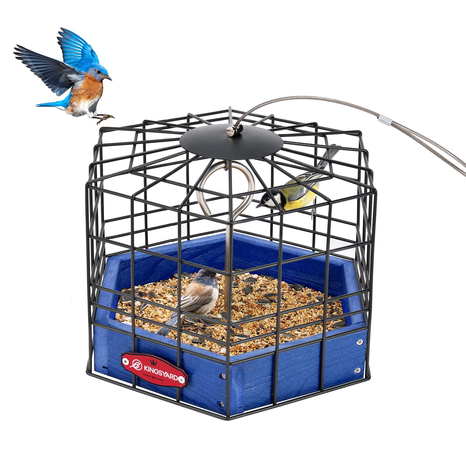 Photo 1 of Kingsyard Squirrel Proof Platform Bird Feeder for Outdoor Hanging, Caged Bird Feeder for Bluebird Mealworm, Recycled Plastic Feeding Platform with Metal Mesh Tray, Special for Small Birds, Blue
