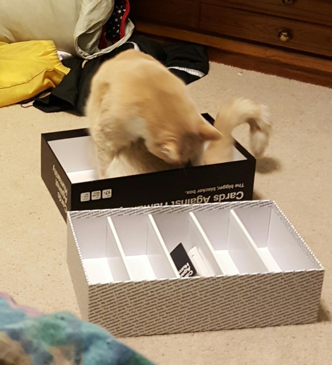 18/mo Finance Cards Against Humanity The Bigger, Blacker Box Buy