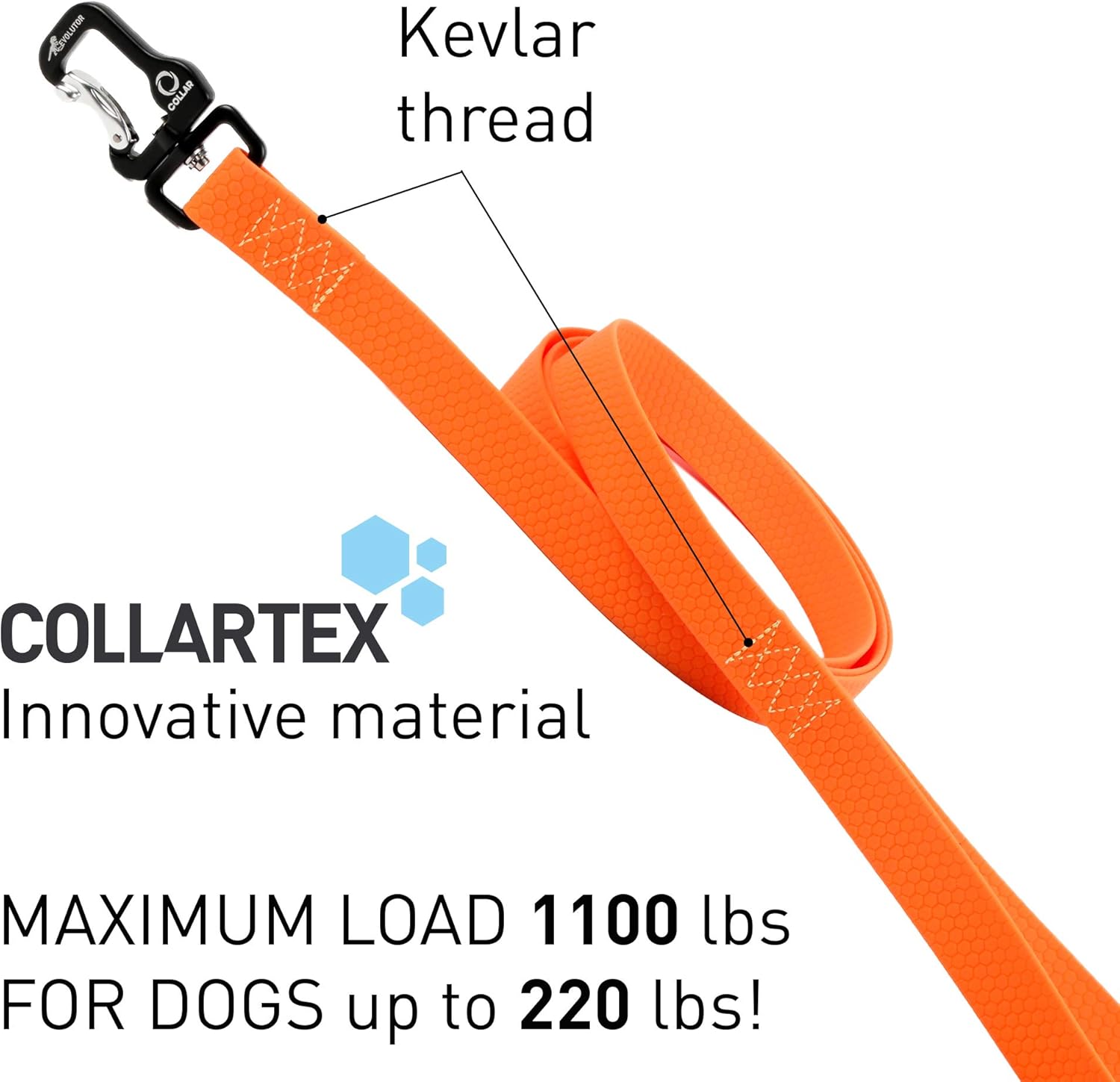 labrador great dane mix puppies