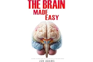 The Brain Made Easy: An Easy To Read Guide On The Function Of The Human Brain