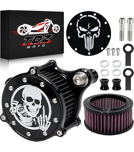 Amazon.com: Skull Style Air Cleaner Kit Compatible with Harley