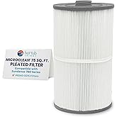 Sundance 6540-501 Microclean Filter Cartridge 75sq ft | 780 Series compatible, fine particle filtration, OEM replacement cartridge, easy spa maintenance support