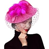 DRESHOW Fascinators Hat Flower Mesh Feathers Hat with a Headband and a Clip 7.9" Tea Party Headwear for Women