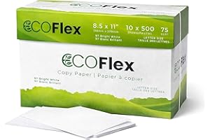 Copy Paper 8.5 x 11 Letter Size – Bulk Copy Paper Case of 10 Reams | 500 Sheets per Ream | 75 GSM Bright White Printer Paper 
