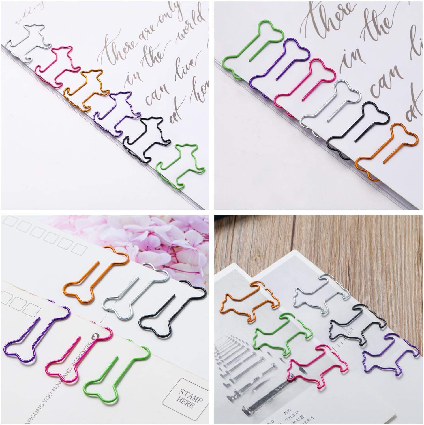 The lady with the dog thesis statement picture