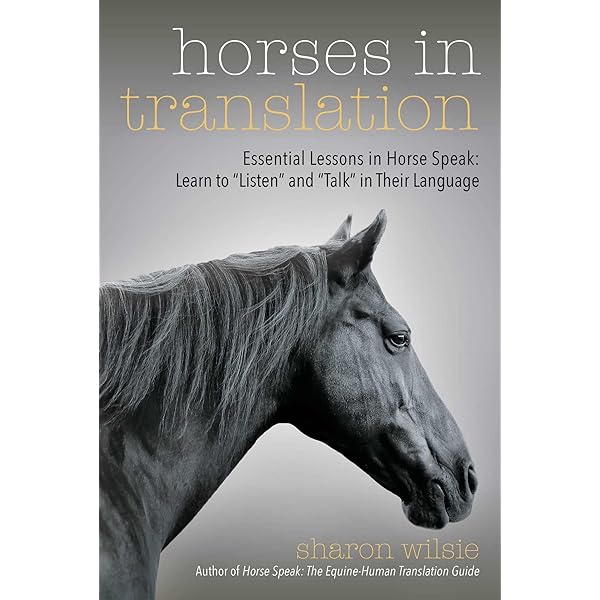 Amazon.com: Dancing With Horses: 9781908809063: Hempfling, Klaus