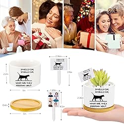 Funny TV Show Planter Pots,TV Show Merchandis Gifts