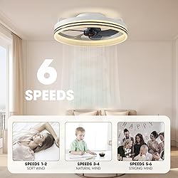 LUDOMIDE Smart Ceiling Fan with