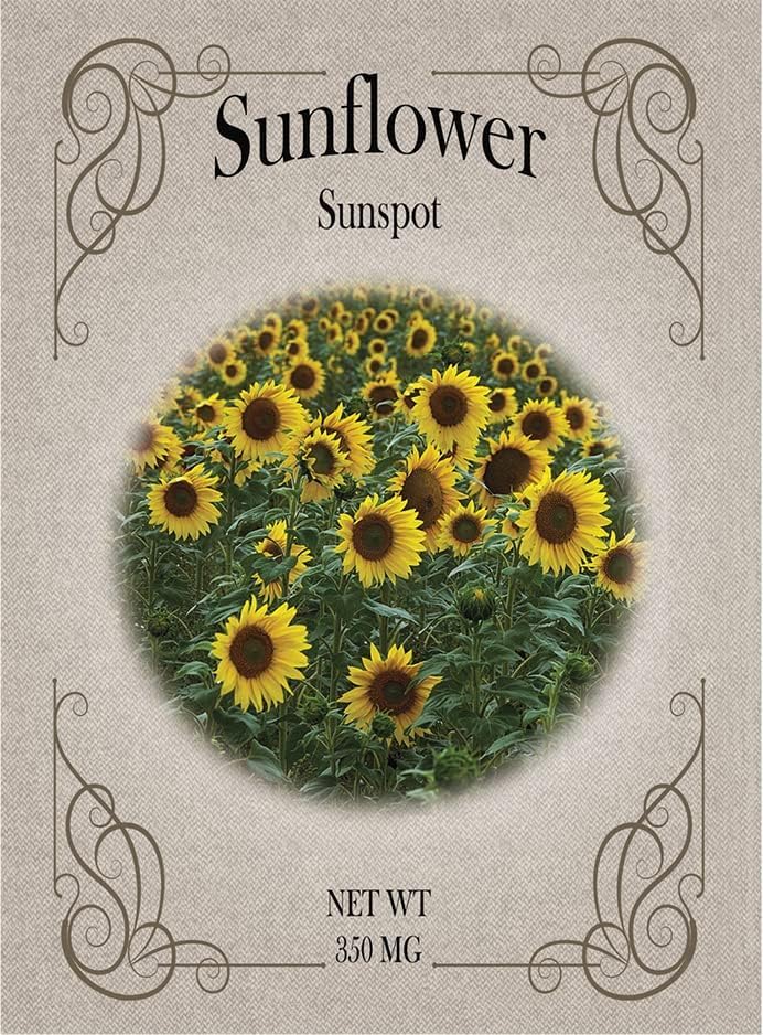 Set of Flower Seed Packets! Flower Seeds in Bulk - Great for Creating The Garden of Your Dreams! (100, Sunspot Sunflower) Image