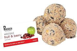 6 Pack Small Suet Balls - Fruit and Berry