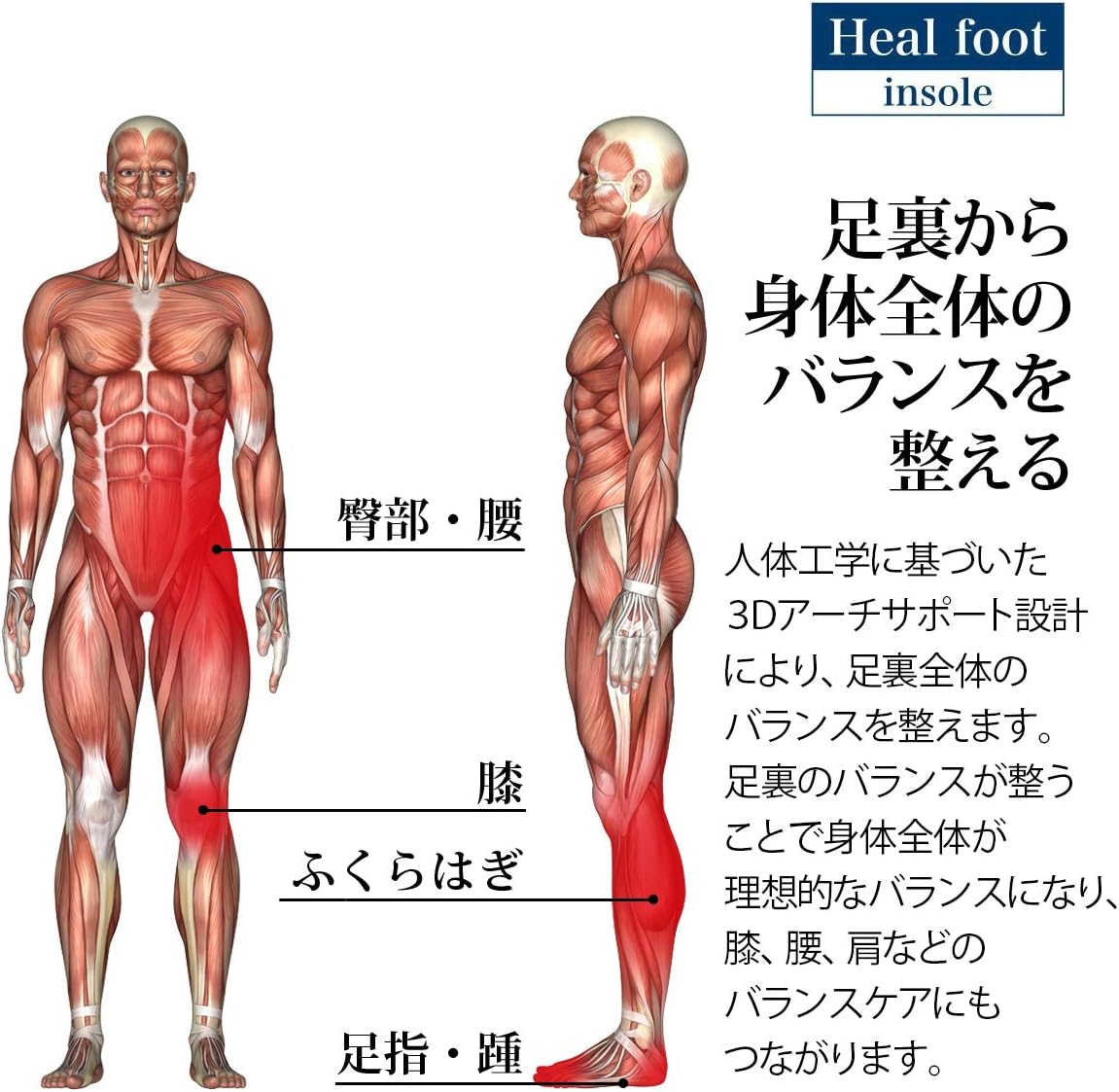 Amazon Heal Foot 足が疲れにくい靴にするための衝撃吸収インソール 人体工学に基づいた設計 Heal Foot スポーツ用インソール