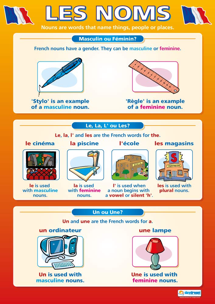 Les Noms | Language Learning Posters | Laminated Gloss Paper measuring 850mm x 594mm (A1) | Second Language Charts for the Classroom | Education Charts by Daydream Education