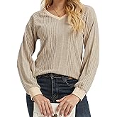 DEICAEVO long sleeve sweaters for women V Neck Color Block Fall Winter Sweaters Lightweight Trendy Tunic