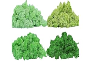 TAIKUU 久の物 14OZ Preserved Moss 4 Color Reindeer Moss, Each Color 3.5OZ, Artificial Moss Fake Moss Green Moss for Craft Arts Floral Moss Wedding Terrariums Decoration…